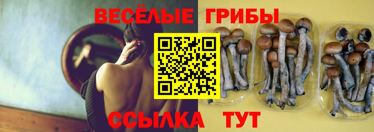 Галлюциногенные грибы Cubensis  Вход с VPN  Полевской 